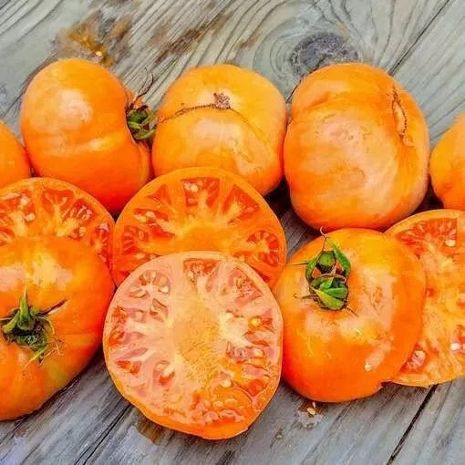 30+ Organic Amana Orange Tomato Seeds | Heirloom, Non-GMO, Rare | Solanum lycopersicum