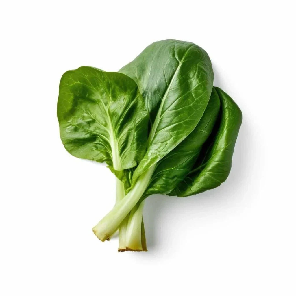 Choy Sum Cabbage Seeds - 500+ Seeds for Garden Planting - Brassica rapa - USA Grown - Free Shipping