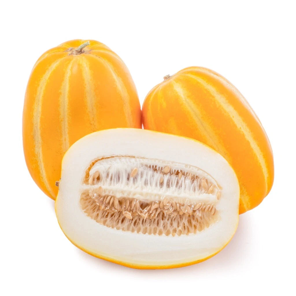 Korean Musk Melon Seeds - Golden Sweet Non-GMO - Free Shipping - 韩国黄金瓜甜瓜香瓜种子