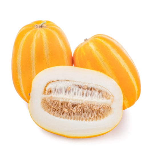 Korean Musk Melon Seeds - Golden Sweet Non-GMO - Free Shipping - 韩国黄金瓜甜瓜香瓜种子