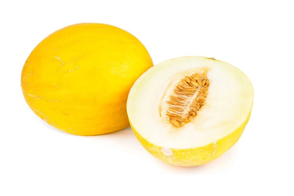Canary Yellow Melon Seeds - 30 Seeds - Non-GMO, Heirloom, Fertile, USA Grown, Ships from Iowa (Cucumis melo)