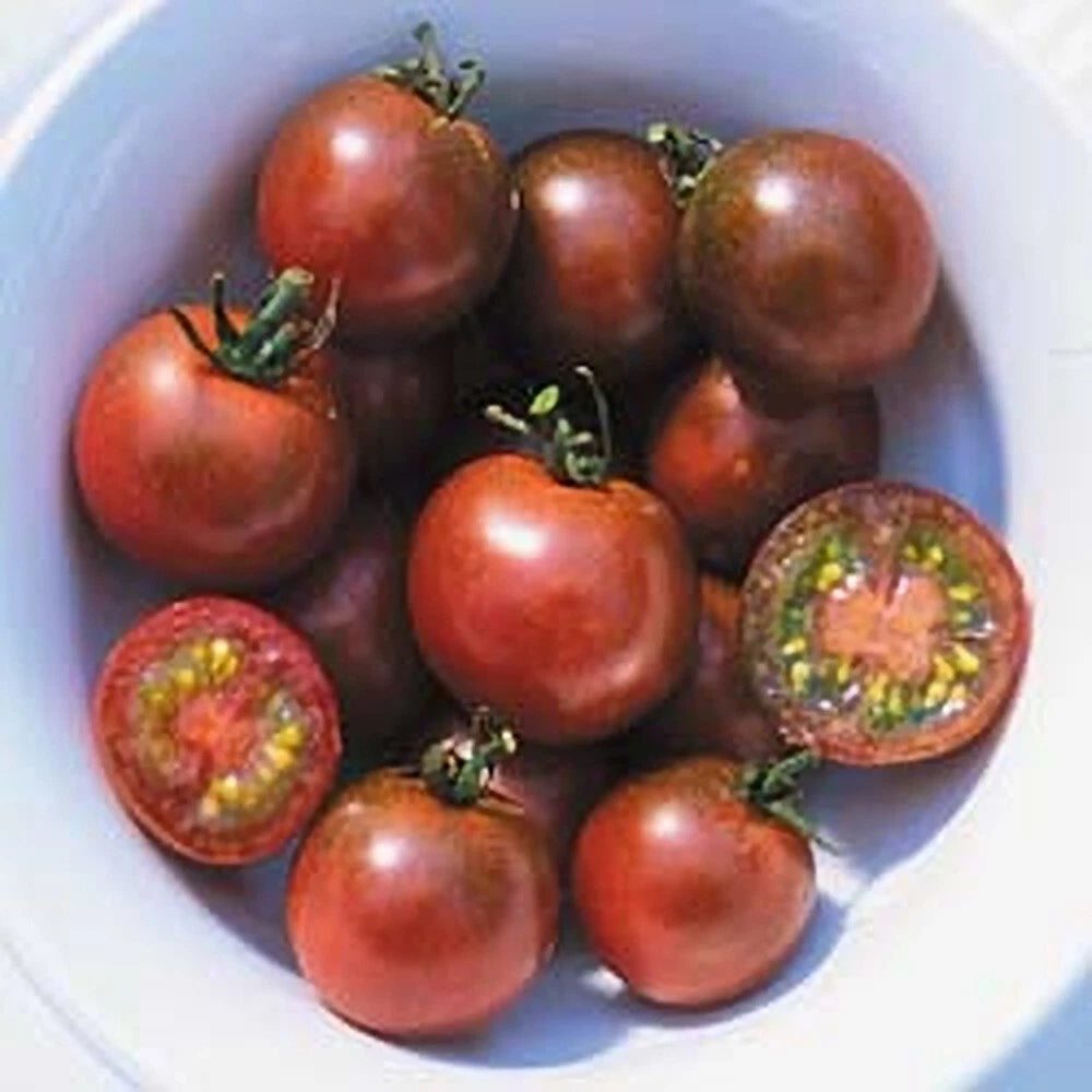 Brown Berry Tomato Seeds - 10+ Heirloom Non-GMO Organic - Rare Variety - Solanum lycopersicum