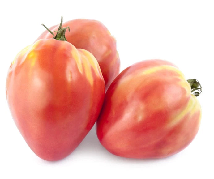 Bicolored Heirloom Tomato Seeds - Russian Bicolored Oxheart - Indeterminate, Non ...