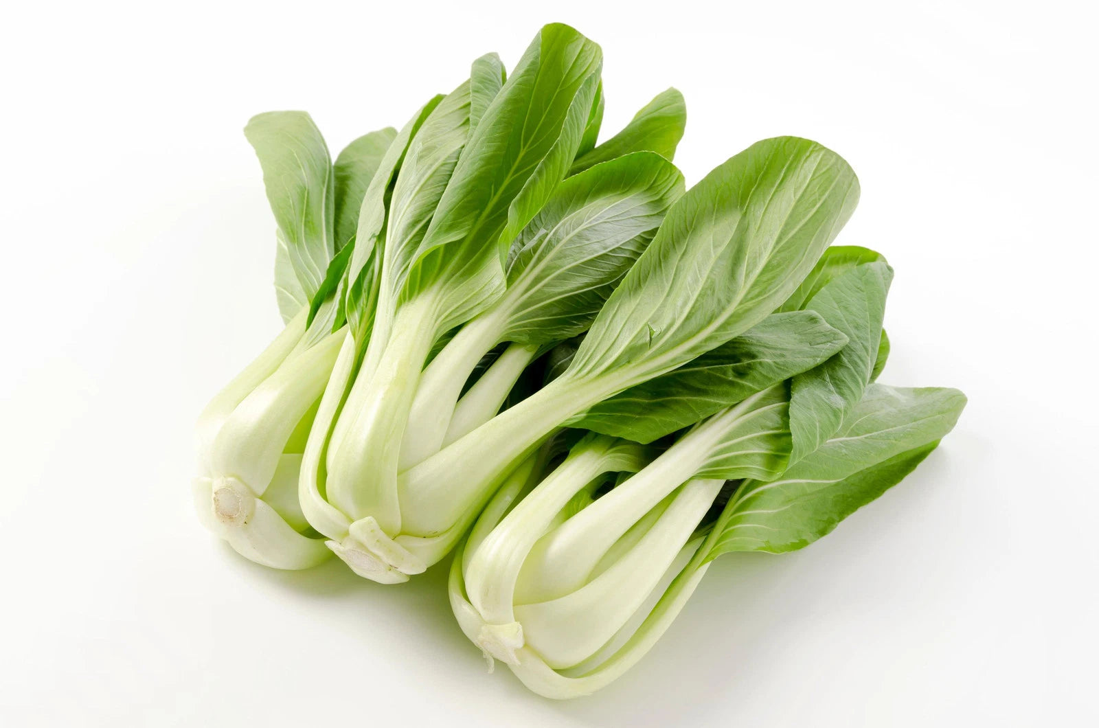 Chinese White Stem Pak Choi Seeds, Non-GMO, Heirloom Variety, Brassica rapa subsp. chinensis
