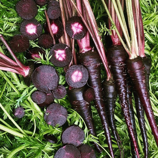 Black Nebula Carrot Seeds - 150+ Non-GMO Vegetable Garden Seeds - Daucus carota - USA, Free Shipping