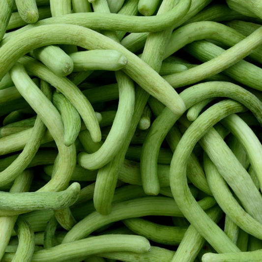 Dark Armenian Cucumber Seeds - 50+ Long Snake Serpent Vegetable - Cucumis melo - USA, Free Shipping
