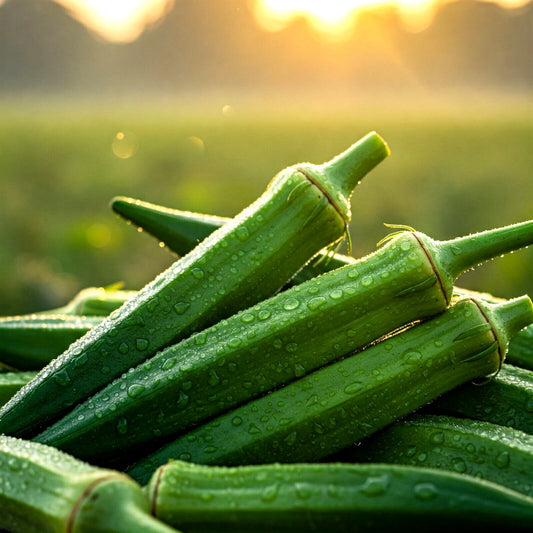 200 Seeds Okra Clemson Heirloom Vegetable Seeds Non-GMO (Abelmoschus esculentus) for Gardening