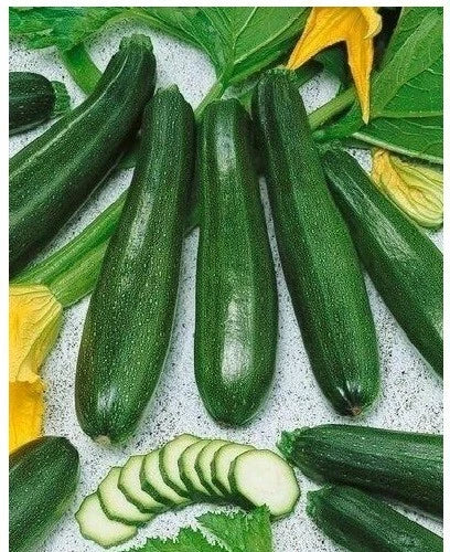 Black Beauty Zucchini Seeds - 20 Heirloom Prolific Spineless Green Summer Squash - Cucurbita pepo