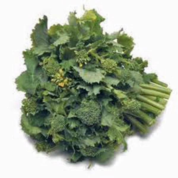 Broccoli Raab Seeds, Heirloom Variety, 50+ Seeds, Delicious Culinary Delight, Brassica rapa subsp. ruvo