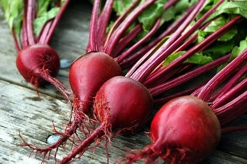 Beet Seeds - 200 Count - Ruby Queen - Canning, Pickled, Fresh - Beta vulgaris - Healthy, Round Roots, Edible Tops