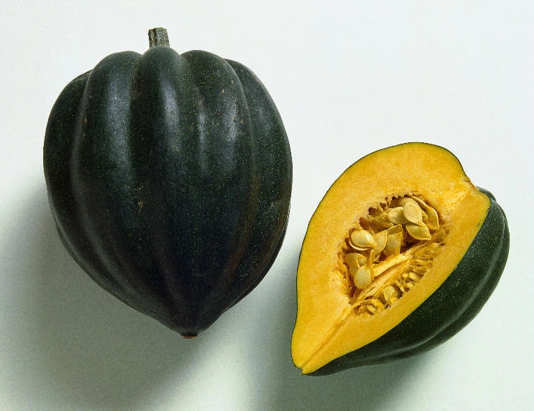 Acorn Squash Seeds - Table Queen Variety - Fresh Non-GMO Seeds - Cucurbita pepo