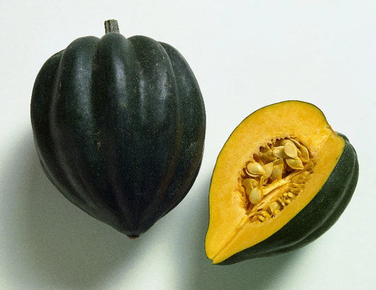 Acorn Squash Seeds - Table Queen Variety - Fresh Non-GMO Seeds - Cucurbita pepo