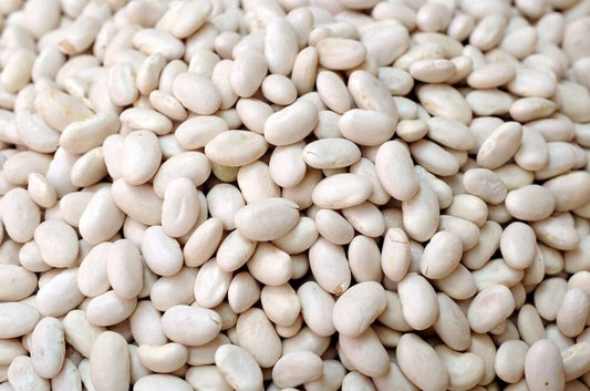 50 Navy Bean Seeds for Planting, White Kidney Bean Variety, Phaseolus vulgaris