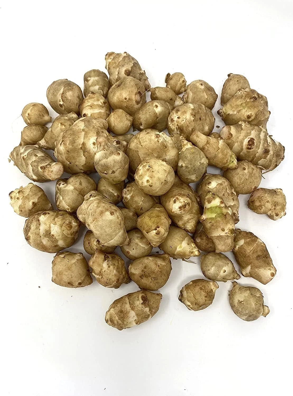 Organic White Sunchoke Tubers for Planting - Helianthus tuberosus - Non-GMO Jerusalem Artichoke, Easy to Grow, Perennial Vegetable