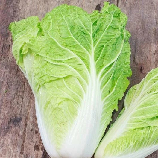 Michihili Cabbage Seeds Non-GMO Heirloom, Napa Bok Choy Spinach Leaf Lettuce, Brassica rapa subsp. pekinensis