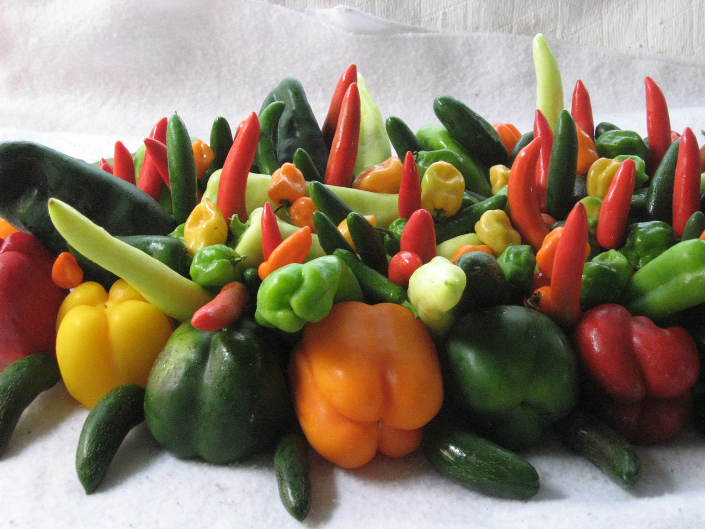 Bulk 500 Holy Moley Pepper Seeds - Sweet to Spicy Variety Mix, Capsicum Annuum