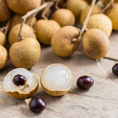Longan Seeds - 20 Pack, Sweet Delicious Dragon Eye Fruit, Dimocarpus longan