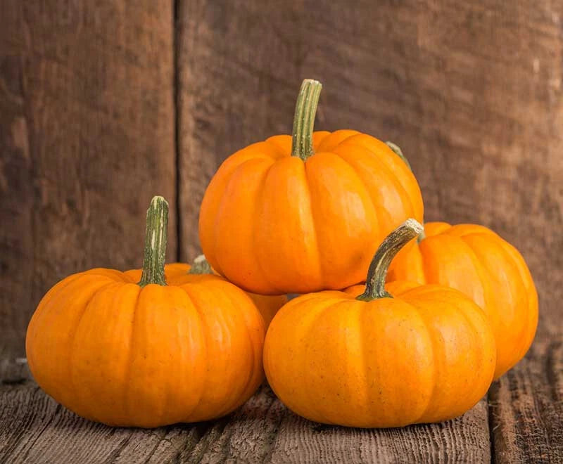 Baby Bear Pumpkin Seeds - 25+ Pack for Garden Planting - Cucurbita pepo - USA Grown, Non-GMO