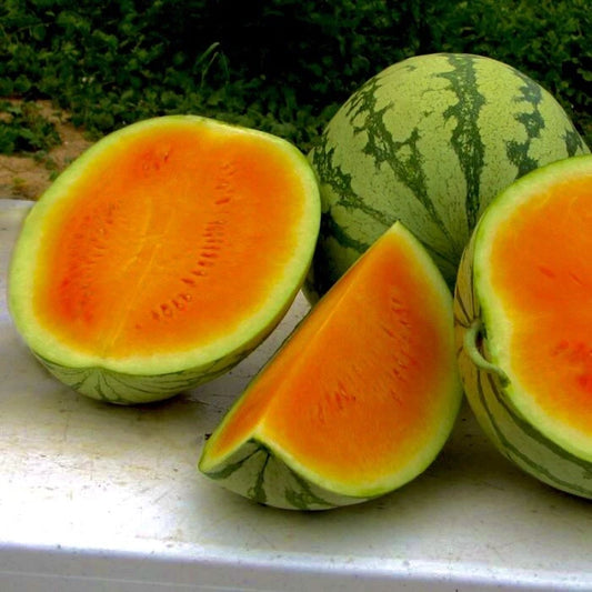 25+ Sweet Orange Watermelon Seeds - Non-GMO, True to Color, Heirloom Variety - Citrullus lanatus