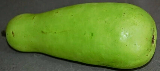 Calabash Gourd Seeds - Fresh Gourd Seed Variety - Ideal for Planting and Crafts - Lagenaria siceraria