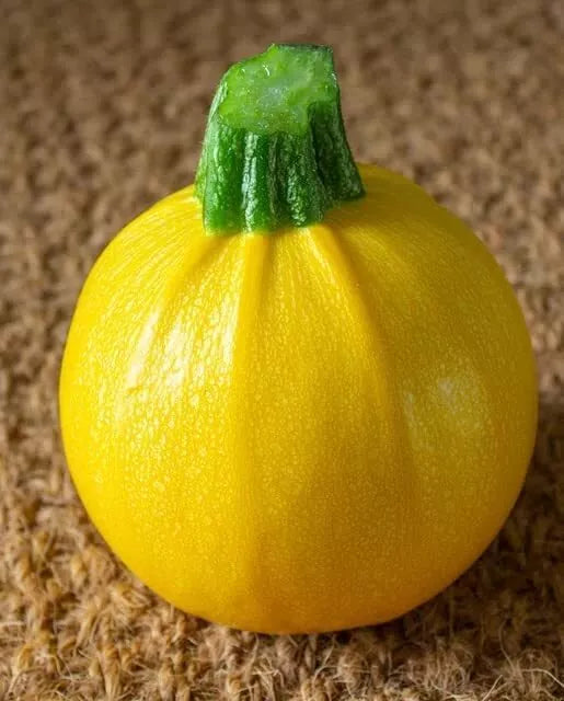 10 Ball Squash Seeds for Planting, Exotic Pool Ball Sized Edible Squash, Cucurbita pepo