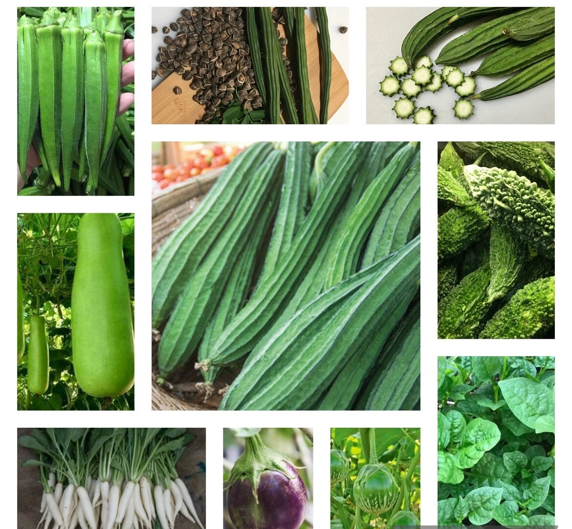 Asian Vegetable Seeds Bundle - 10 Non-GMO Heirloom Varieties - Home Garden Seeds for Planting
