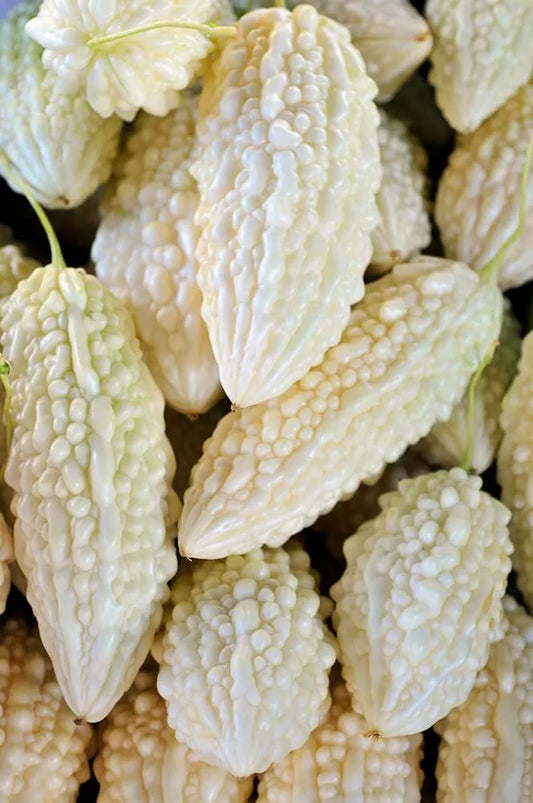 10 White Bitter Gourd Seeds - Exotic Bitter Melon for Planting (Momordica charantia)