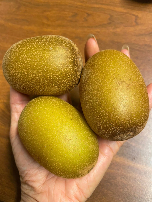 Golden Kiwi Fruit Seeds - 25 Pack - Yellow Actinidia Chinensis Flower Vine