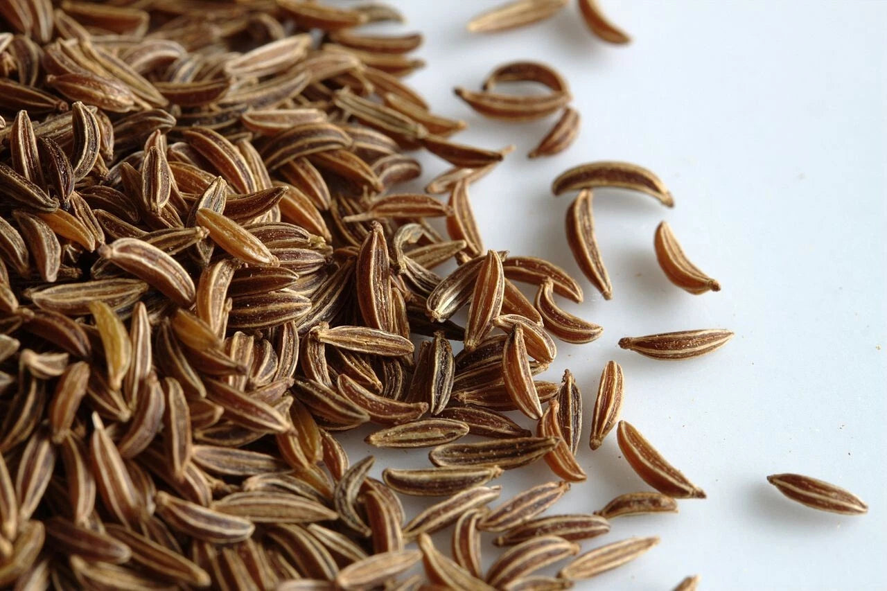 Caraway Seeds 2,000 Count for Growing Meridian Fennel, Persian Cumin, Non-GMO - Planting Herb Seeds
