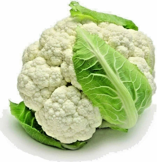 Cauliflower Seeds - 1000+ Heirloom Spring Snowball Non-GMO Vegetable Seeds - Organic Gardening