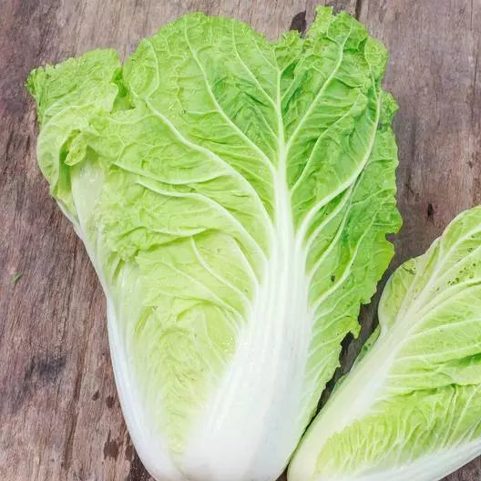 1000 Non-GMO Heirloom Michihili Cabbage Seeds - Organic Vegetable Seeds for Home Gardening - Brassica rapa