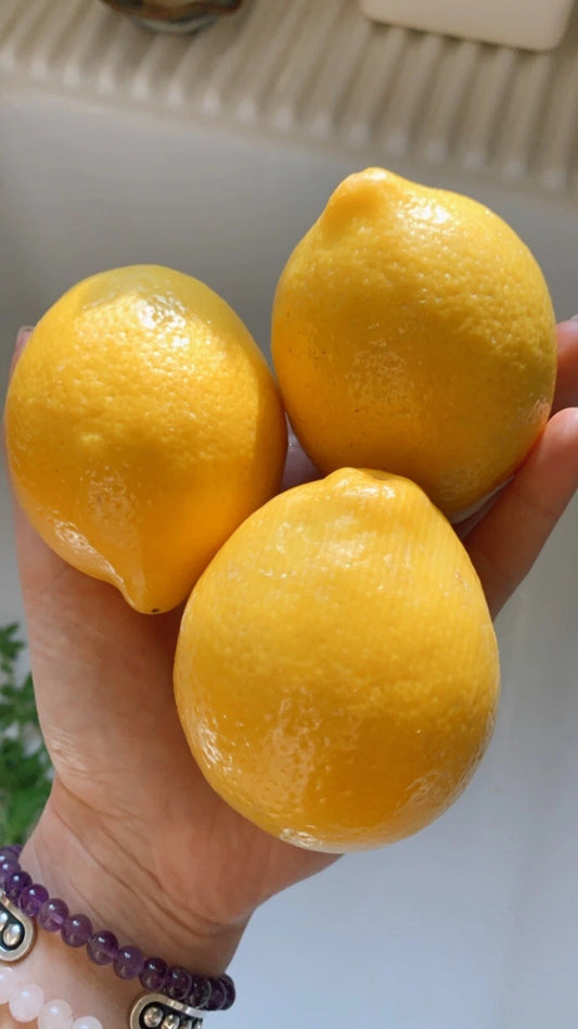 Meyer Lemon Seeds - 10 Organic Non-GMO Pesticide-Free Citrus Seeds for Home Garden - Citrus limon