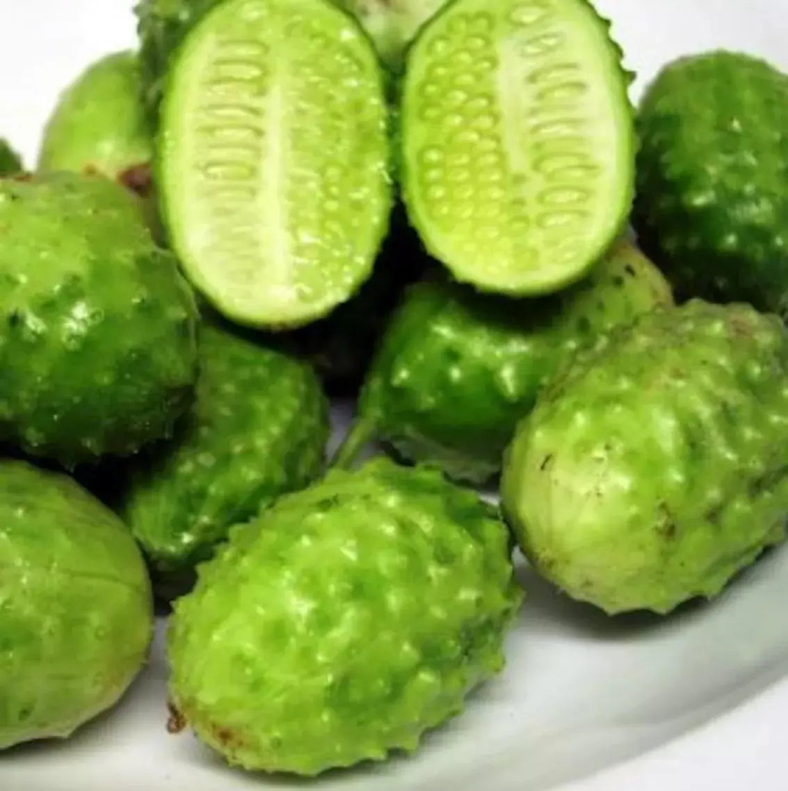 West Indian Gherkin Seeds - 100+ Heirloom Burr Spike Cucumber Seeds Rare Varietal Cucumis Anguria West Indian Gherkin Seeds - 100+ Heirloom Burr Spike Cucumber Seeds Rare Varietal Cucumis Anguria