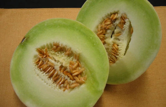 Cantaloupe Seeds - Honey Dew Melon Seeds - Fresh Melon Seeds - Cucumis melo