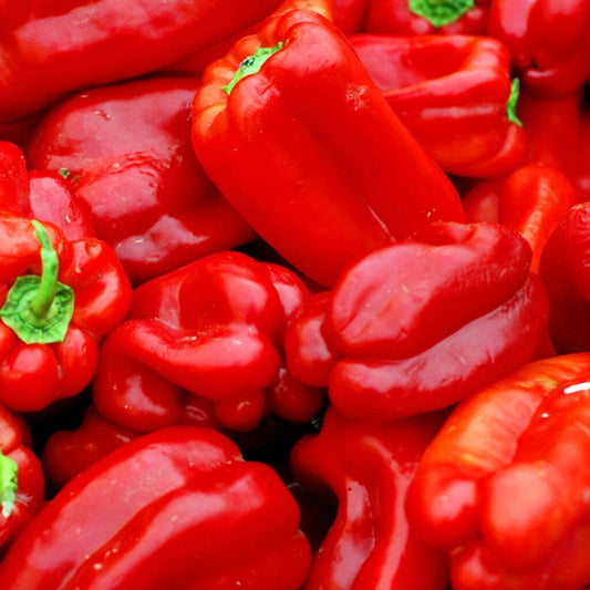 Big Red Sweet Pepper Seeds - Heirloom Capsicum Annuum - 25+ Seeds - USA Grown, Free Shipping