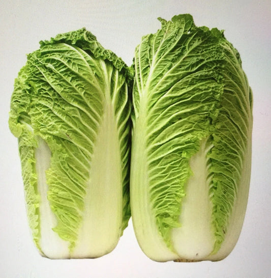 200+ Chinese Cabbage Seeds F1 Hybrid Big Heading Bok Choy - Brassica rapa var. chinensis