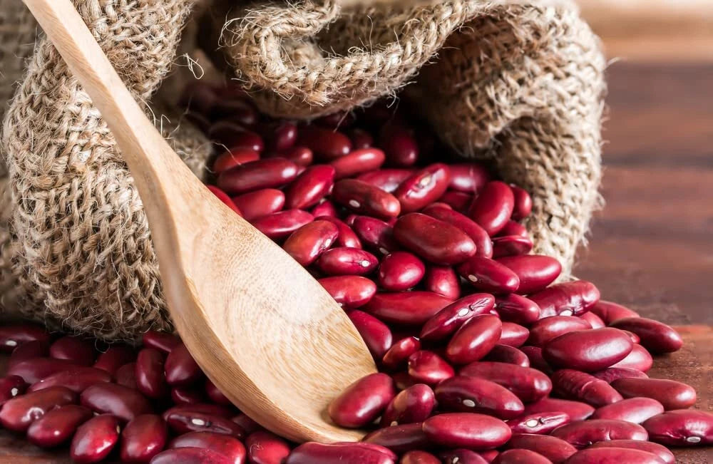 Red Kidney Bean Seeds - 30 Seeds - Easy to Grow, Healthy Variety - Phaseolus vulgaris