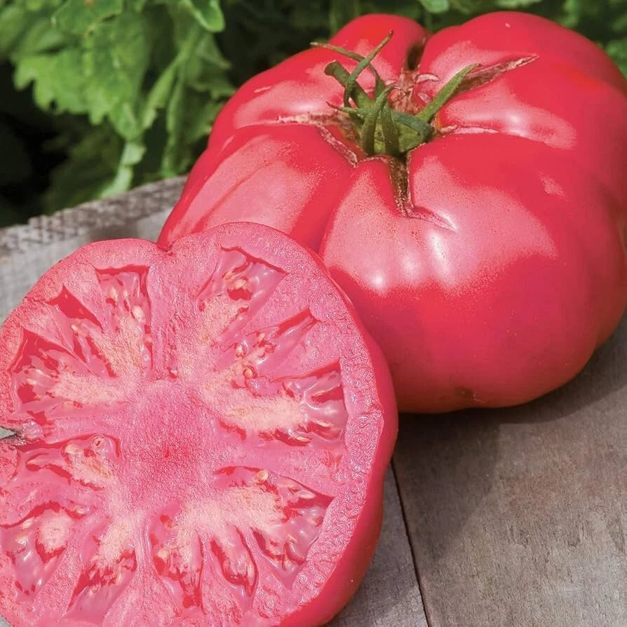 Beefsteak Pink Tomato Seeds - 25 Fresh Premium Seeds - Heirloom Variety - Solanum lycopersicum