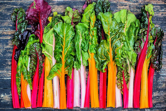 Bright Lights Swiss Chard Seeds - 200+ Rare Colorful Seeds for Planting - Beta vulgaris subsp. cicla