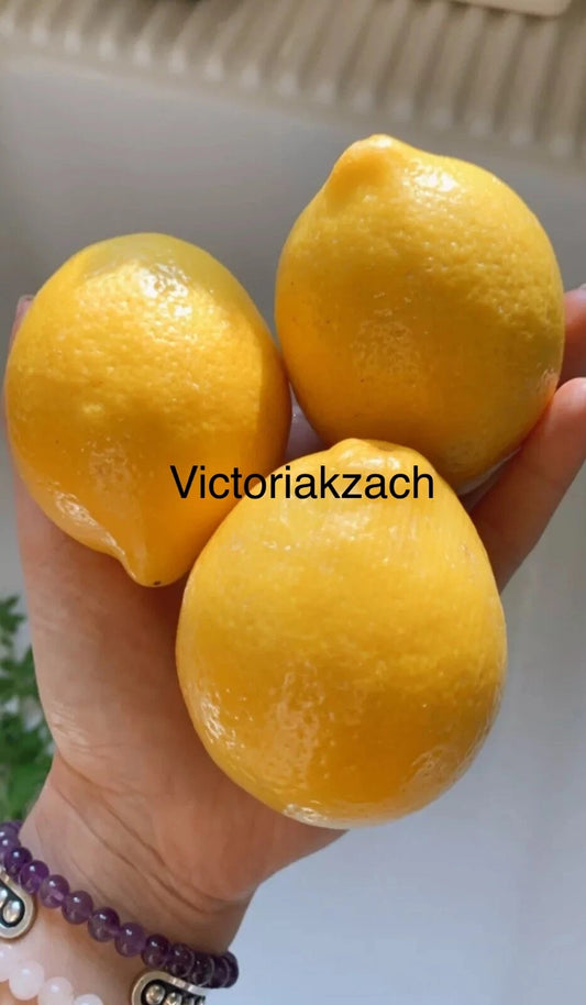 Meyer Lemon Seeds - Organic Non-GMO Edible Fruit Tree - Citrus limon - Home Garden Plant - TX USA