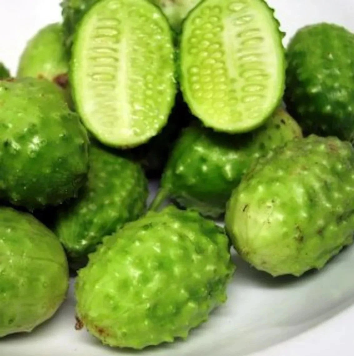 West Indian Gherkin Seeds - 50+ Heirloom Burr Spike Cucumber - Rare Organic Seeds for Garden
