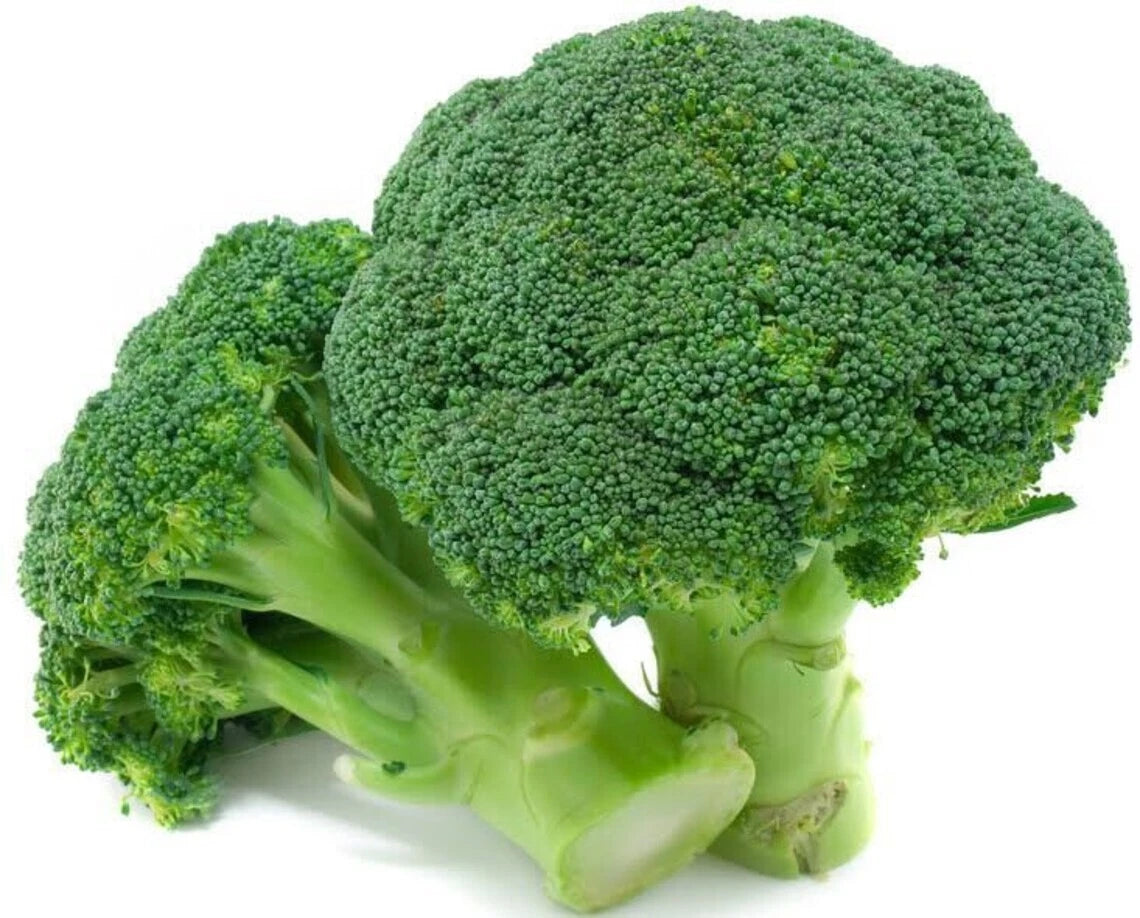 Broccoli Seeds 1000+ Count Waltham 29 Heirloom Organic Non-GMO Fresh - Brassica oleracea