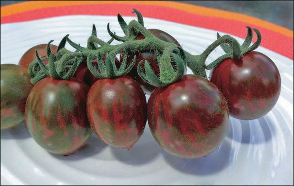 Chocolate Cherry Tomato Seeds - 120+ Heirloom Organic Seeds - Super Sweet Variety - Rare Garden Seeds