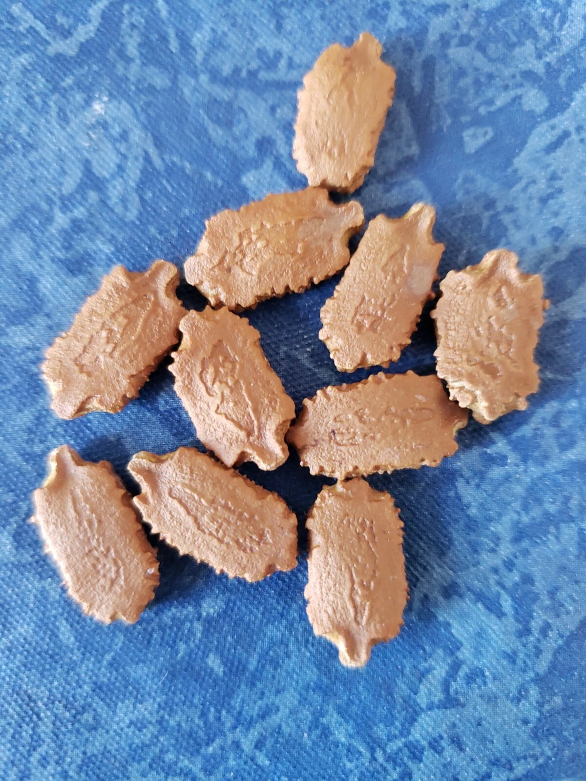 Bitter Melon Seeds 10 Count | Momordica Charantia | Indian Thai Variety | Pesticide-Free, Homegrown