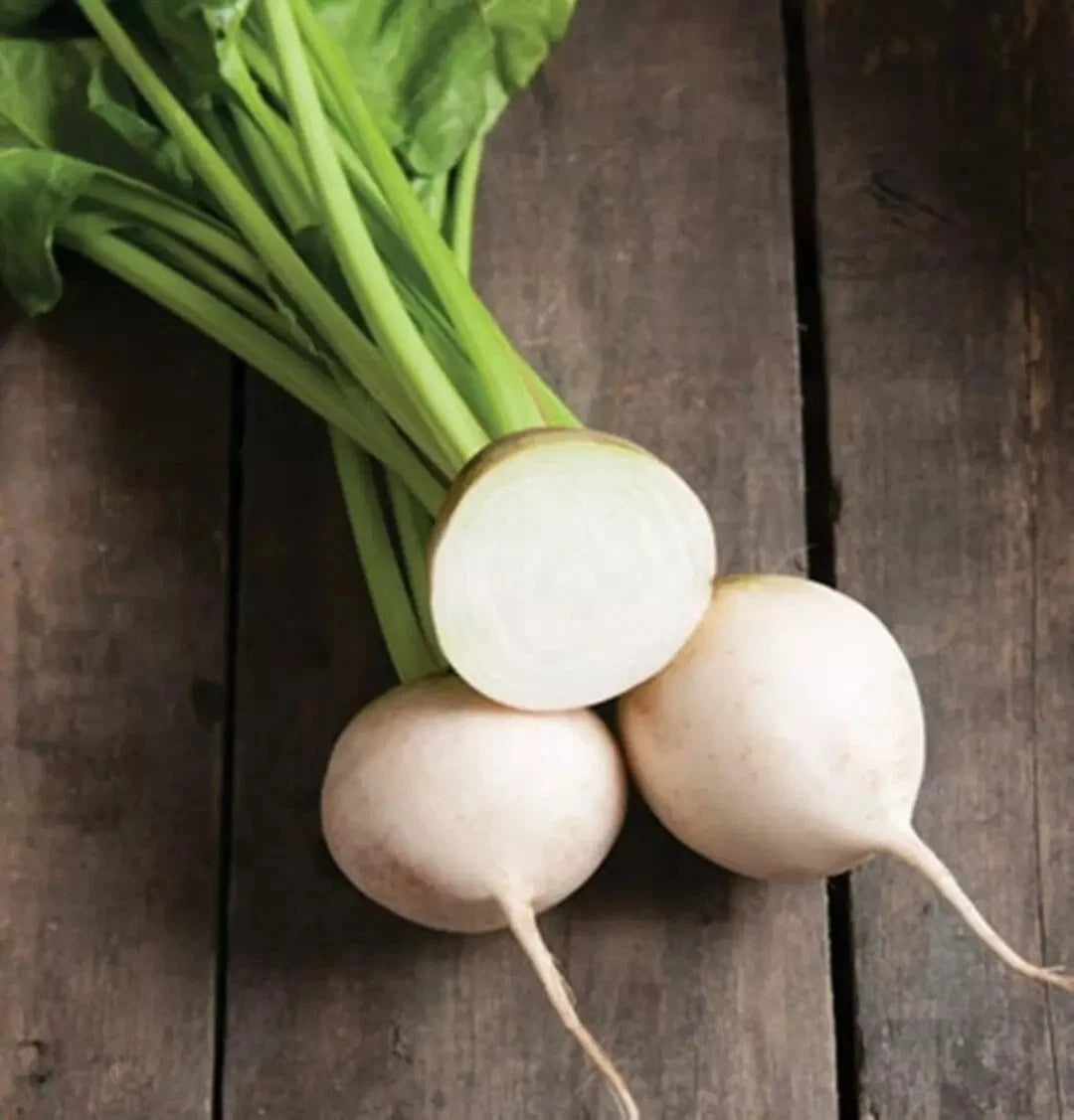 250+ White Albino Beet Seeds - Organic Heirloom - NON-GMO - Vegetable Seeds for Home Garden - Beta vulgaris