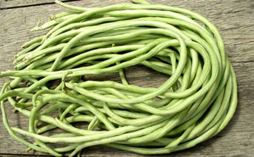 15+ Yard Long Bean Seeds - Asian Chinese Long Bean - High Yield String Beans - Vigna unguiculata