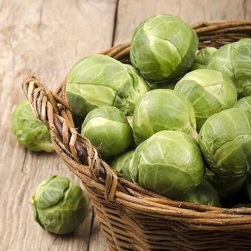 Brussels Sprouts Seeds - 500+ Count - Catskill Variety - Perfect for Garden Planting - USA Grown