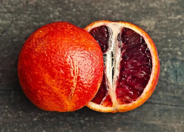 Blood Orange Seeds - 5+ Pack for Planting - Citrus sinensis - USA Grown - Fast Shipping