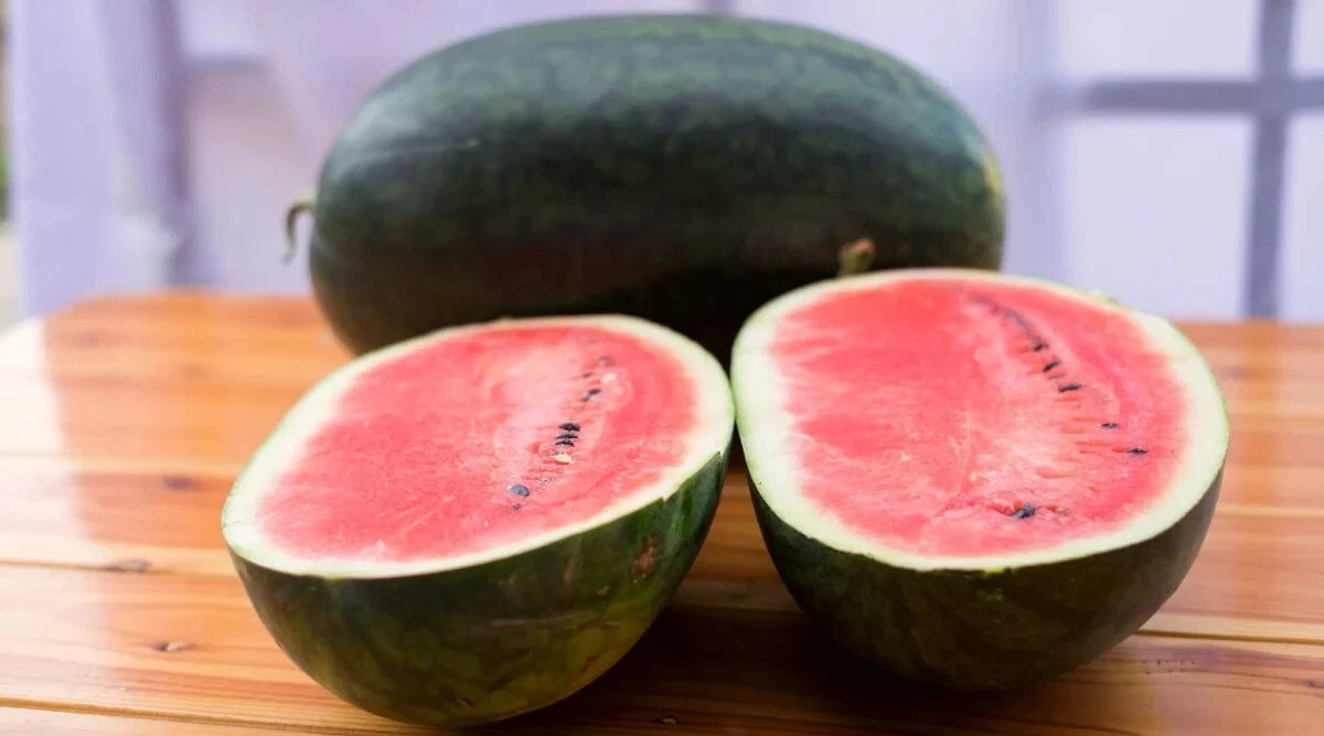 Black Diamond Watermelon Seeds - 50+ Pack - Heirloom Variety - Citrullus lanatus