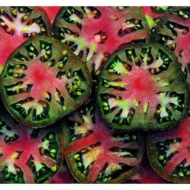 Black Sea Man Tomato Seeds - Heirloom Non-GMO Variety - Organic Vegetable Seeds (Solanum lycopersicum)